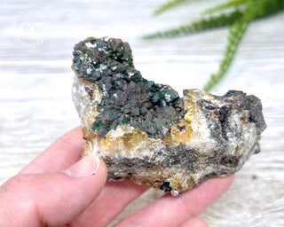 Turgite over Quartz - Spain #7