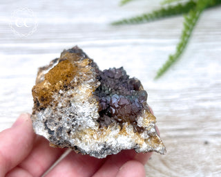 Turgite over Quartz - Spain #9