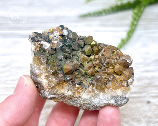 Turgite over Quartz - Spain #11
