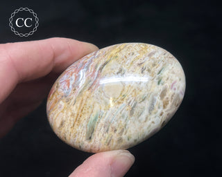 Tutti Frutti Jasper Chunky Palm Stone #2