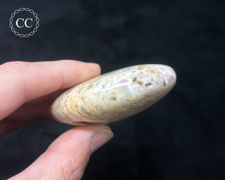 Tutti Frutti Jasper Chunky Palm Stone #2