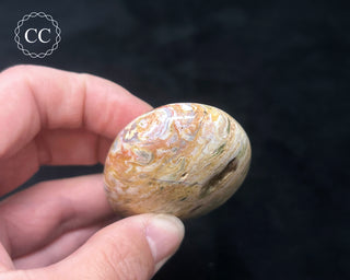 Tutti Frutti Jasper Chunky Palm Stone #2