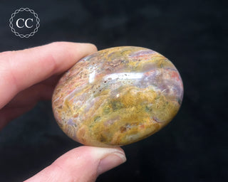 Tutti Frutti Jasper Chunky Palm Stone #3