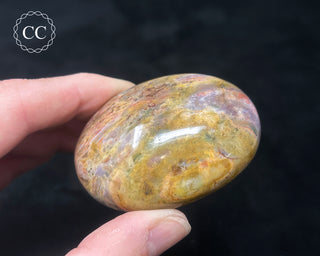 Tutti Frutti Jasper Chunky Palm Stone #3
