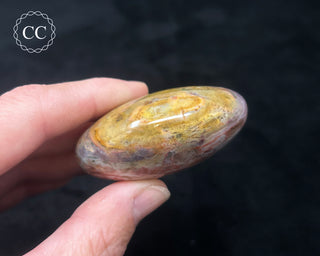 Tutti Frutti Jasper Chunky Palm Stone #3