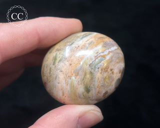 Tutti Frutti Jasper Chunky Palm Stone #4