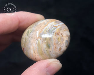 Tutti Frutti Jasper Chunky Palm Stone #4