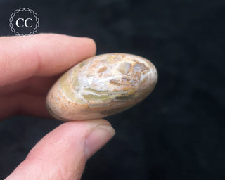 Tutti Frutti Jasper Chunky Palm Stone #4