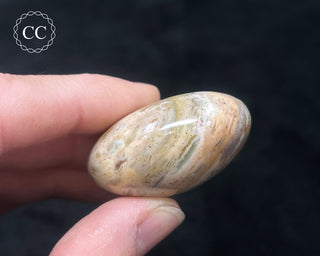 Tutti Frutti Jasper Chunky Palm Stone #4