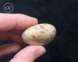 Tutti Frutti Jasper Chunky Palm Stone #4