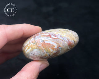 Tutti Frutti Jasper Chunky Palm Stone #1