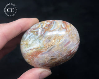 Tutti Frutti Jasper Chunky Palm Stone #1