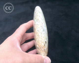 Tutti Frutti Jasper Freeform #1