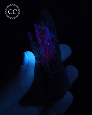 UV Reactive Kyanite Specimen #2