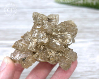 Selenite Cluster - UV Reactive #4