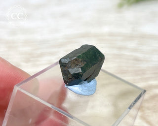 Uvite Tourmaline Crystal #1