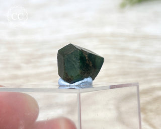 Uvite Tourmaline Crystal #1