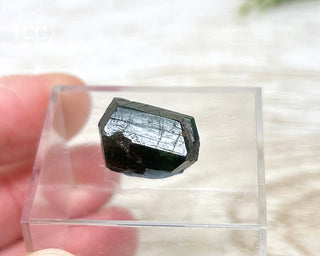 Uvite Tourmaline Crystal #1