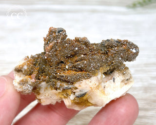 Vanadinite on Black Baryte #9