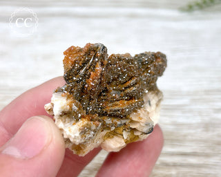 Vanadinite on Black Baryte #9
