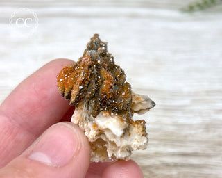 Vanadinite on Black Baryte #9