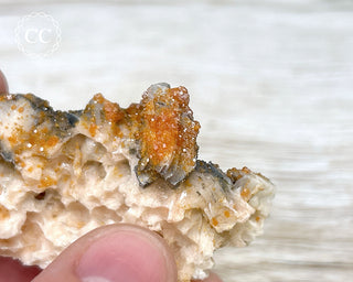 Vanadinite on Black Baryte #9