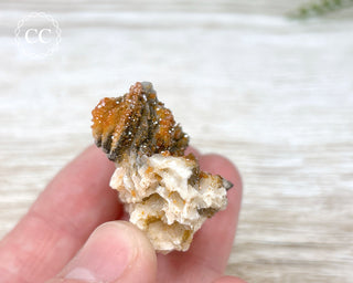 Vanadinite on Black Baryte #9