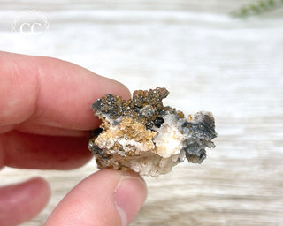 Vanadinite on Black Baryte #1