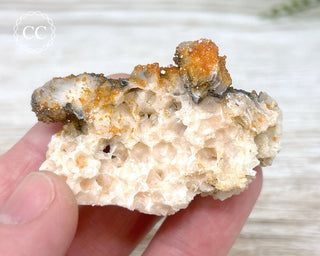 Vanadinite on Black Baryte #9