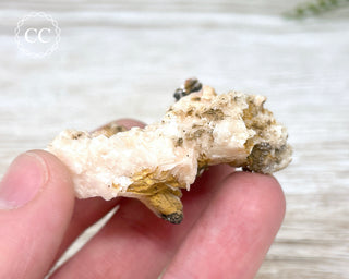 Vanadinite on Black Baryte #9