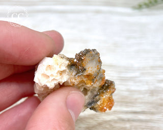 Vanadinite on Black Baryte #9