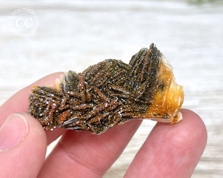 Vanadinite on Black Baryte #10