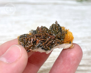 Vanadinite on Black Baryte #10