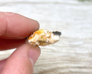 Vanadinite on Black Baryte #10