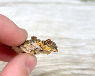 Vanadinite on Black Baryte #10