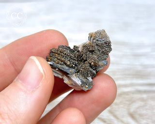 Vanadinite on Black Baryte #15