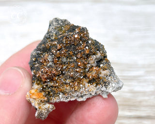 Vanadinite on Black Baryte #11