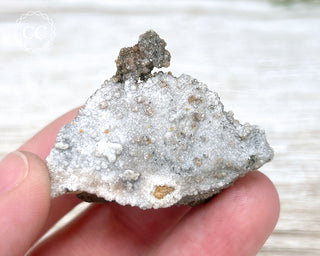 Vanadinite on Black Baryte #11