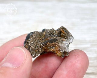Vanadinite on Black Baryte #12