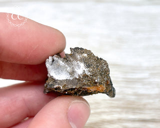 Vanadinite on Black Baryte #12