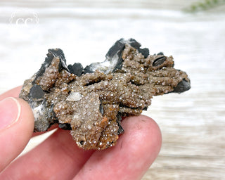 Vanadinite on Black Baryte #2