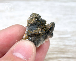 Vanadinite on Black Baryte #14