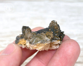 Vanadinite on Black Baryte #14