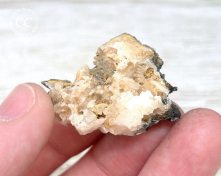 Vanadinite on Black Baryte #14