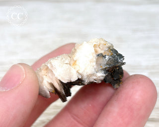 Vanadinite on Black Baryte #14