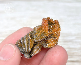 Vanadinite on Black Baryte #15