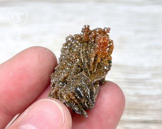 Vanadinite on Black Baryte #15