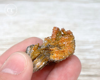 Vanadinite on Black Baryte #15