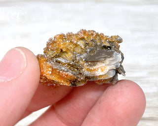 Vanadinite on Black Baryte #15