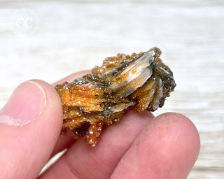 Vanadinite on Black Baryte #15